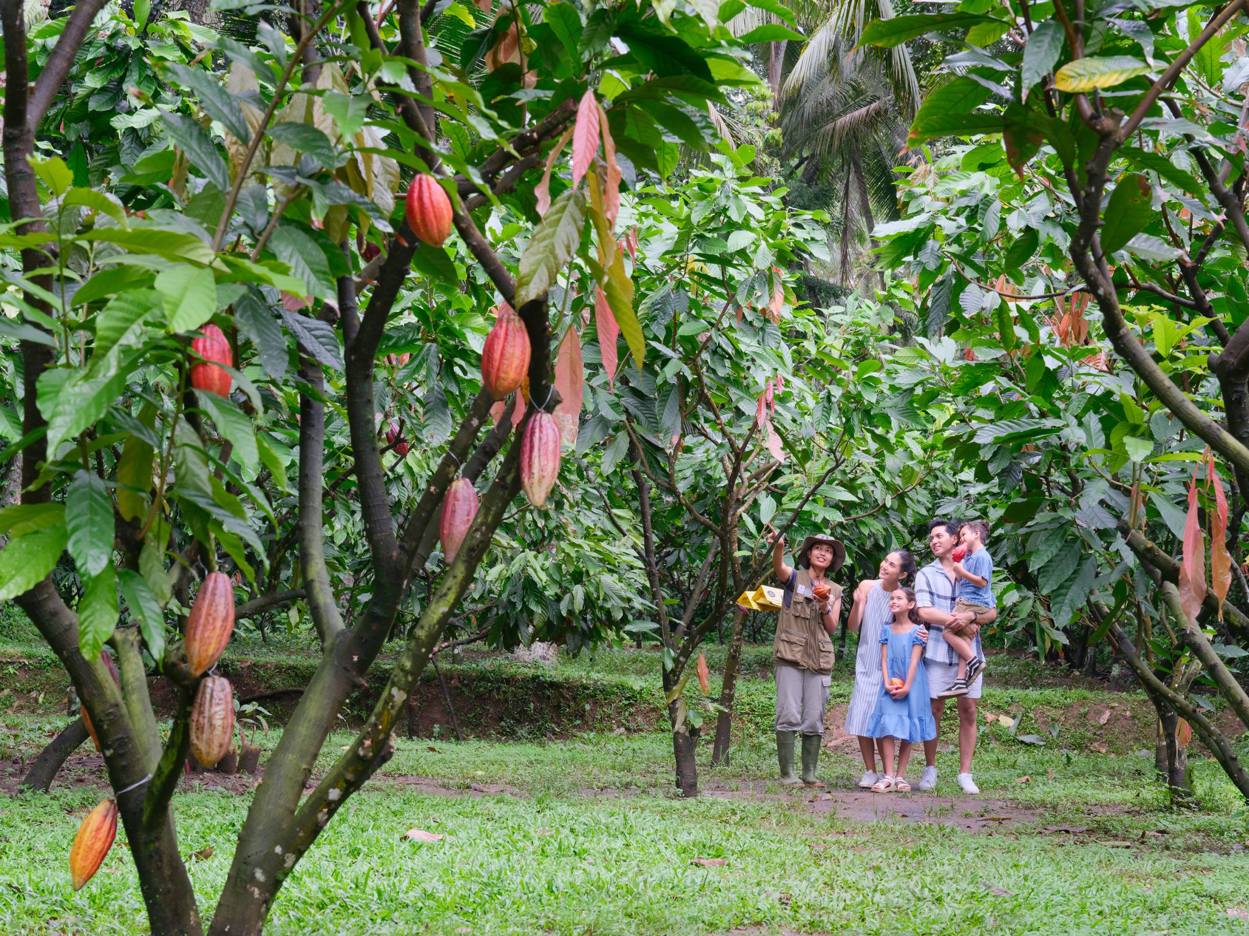 Chocolate Factory Tour in Bali: Junglegold Chocolate Factory