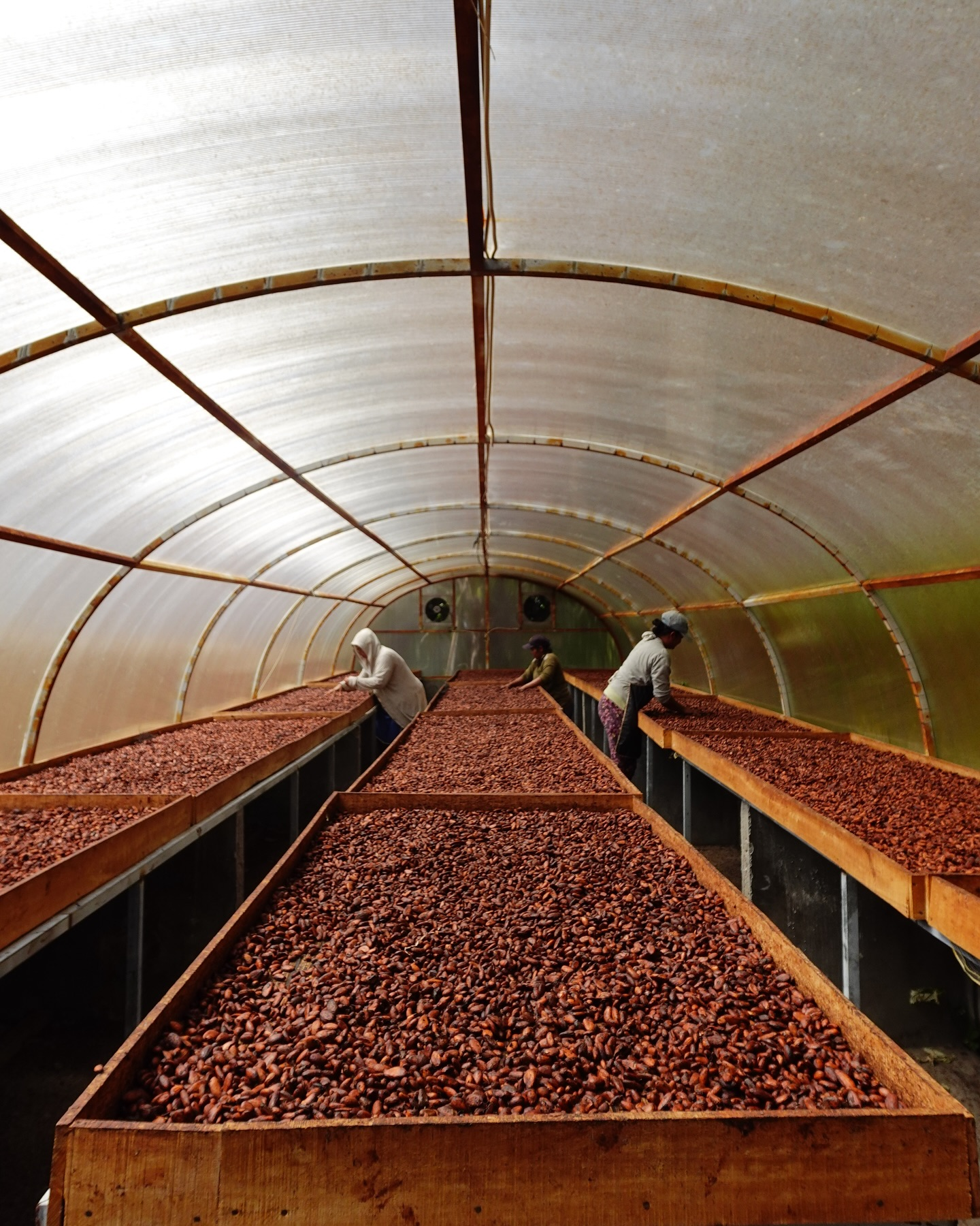 The Kusamba Salt & Nibs Edition